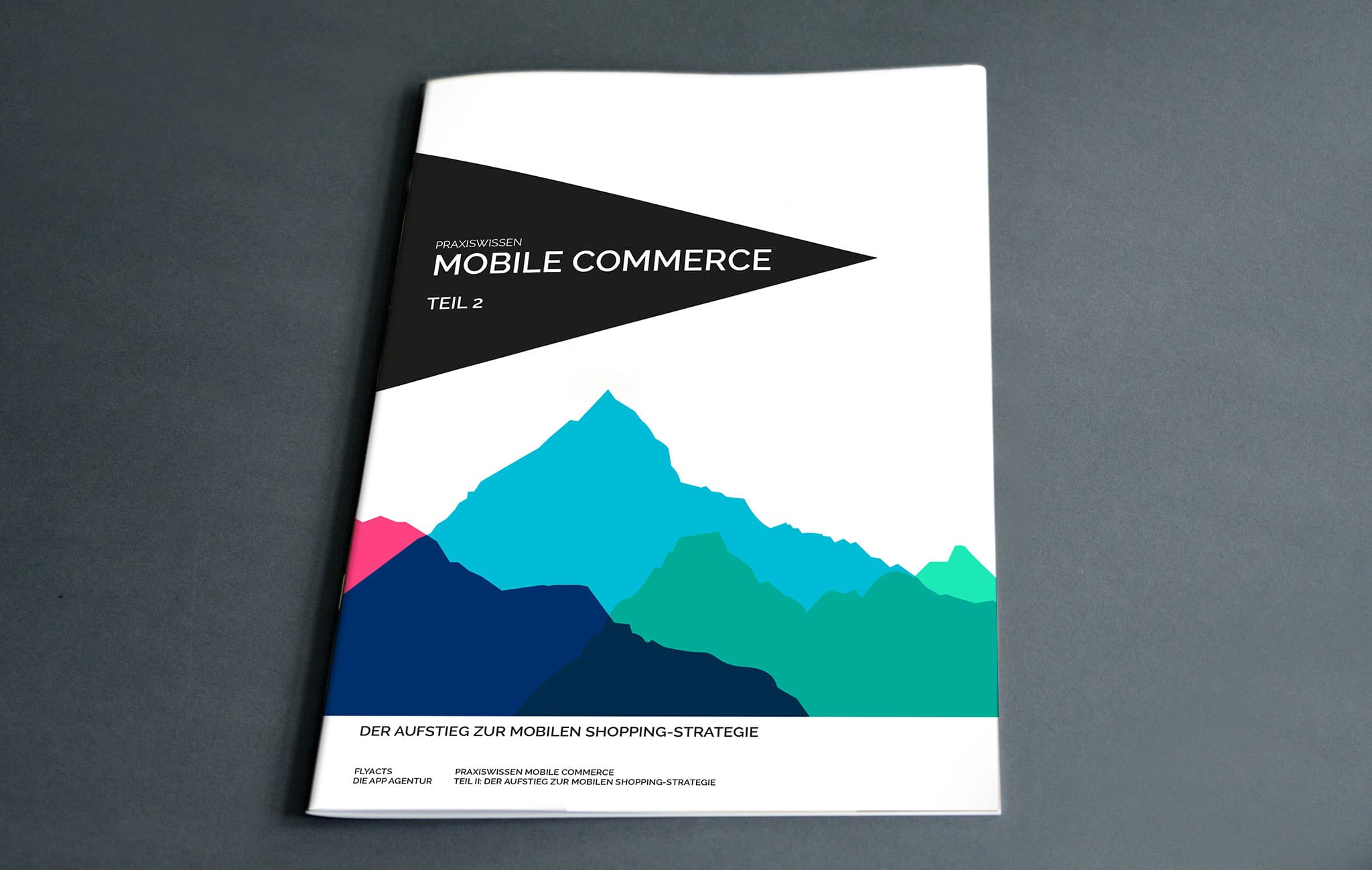 Mobile Commerce Teil 2 Deckblatt