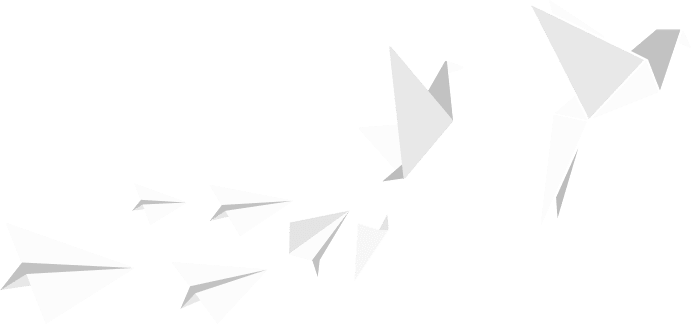paperplane origami bird trans