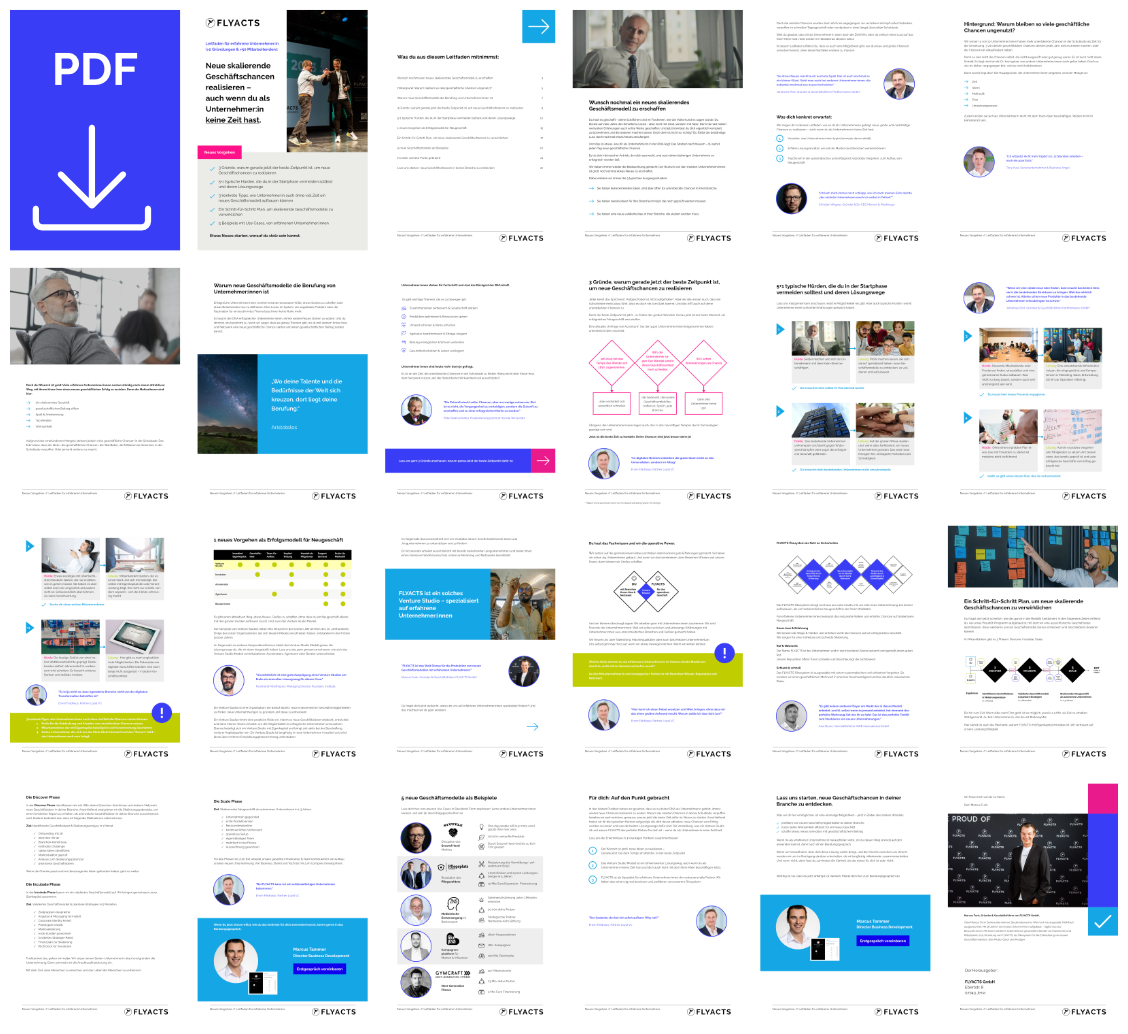 Preview Leitfaden Erfahrene Unternehmer All Pages 2 1 624707 MacBook Pro And IPad (1)